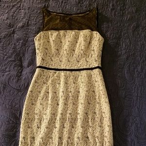 Maggy London Swiss Dot Lace Sheath Dress